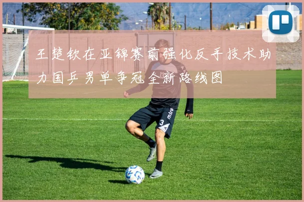 王楚钦在亚锦赛前强化反手技术助力国乒男单争冠全新路线图
